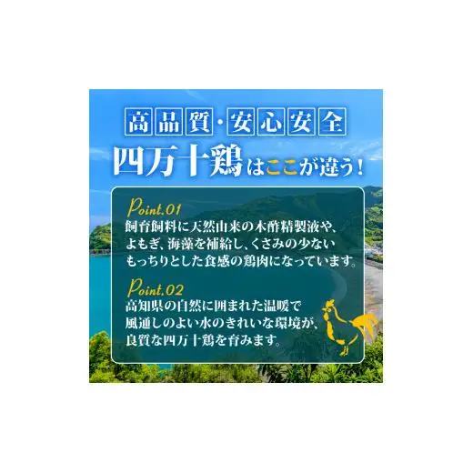 【 もも肉 】 四万十鶏 もも肉 2kg