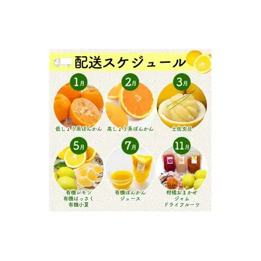 定期便 6回 6ヶ月 果物 ぽんかん 土佐文旦 レモン はっさく 小夏 ジュース