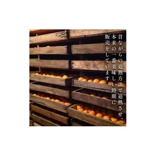 【先行予約】 【早期受付】 訳あり ぽんかん 2.5kg 2027年2月より 順次発送 高知県 須崎市