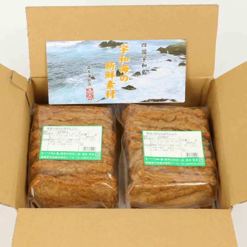 じゃこ天 20枚 詰合せ 森本蒲鉾店 蒲鉾 C012-046002