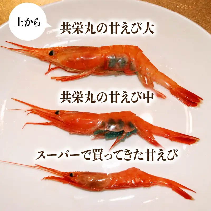 【今だけの味】【卵なし】産卵直前！プレミアム甘えび 約400g 大サイズ エビ [A-23115]