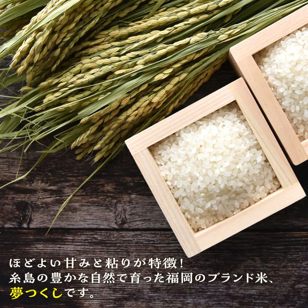 【お中元対象】  糸島産 夢つくし 5kg 糸島市 / 三島商店 [AIM001] 米 白米