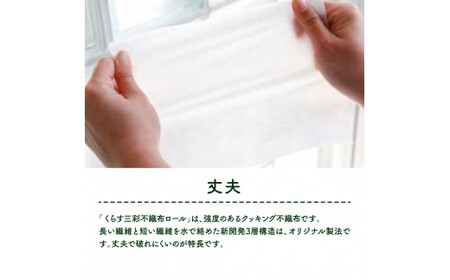 mizukami不織布ロール 美活クッキング 12本セット 高知県土佐市 【三昭紙業株式会社】 [BQBF004]