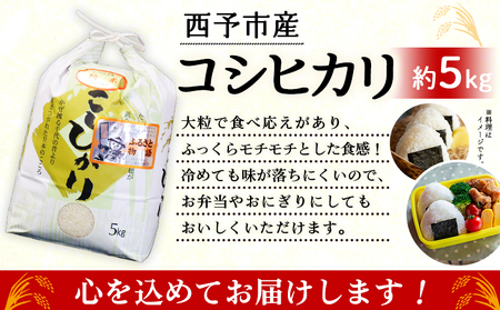 ＜令和8年産 大竹農園 コシヒカリ 約5kg＞ こしひかり コメ 白米 精米 ご飯 新鮮 旨味 大粒 ふっくら もちもち モチモチ お弁当 朝ごはん お昼ごはん 夜ごはん 特産品 愛媛県 西予市 【常温】『1か月以内に順次出荷予定』 UON0003