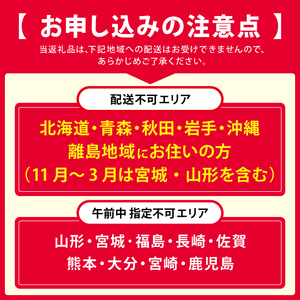 寿司 柿の葉ずし 鯖・鮭 各12個 [BRAI001]