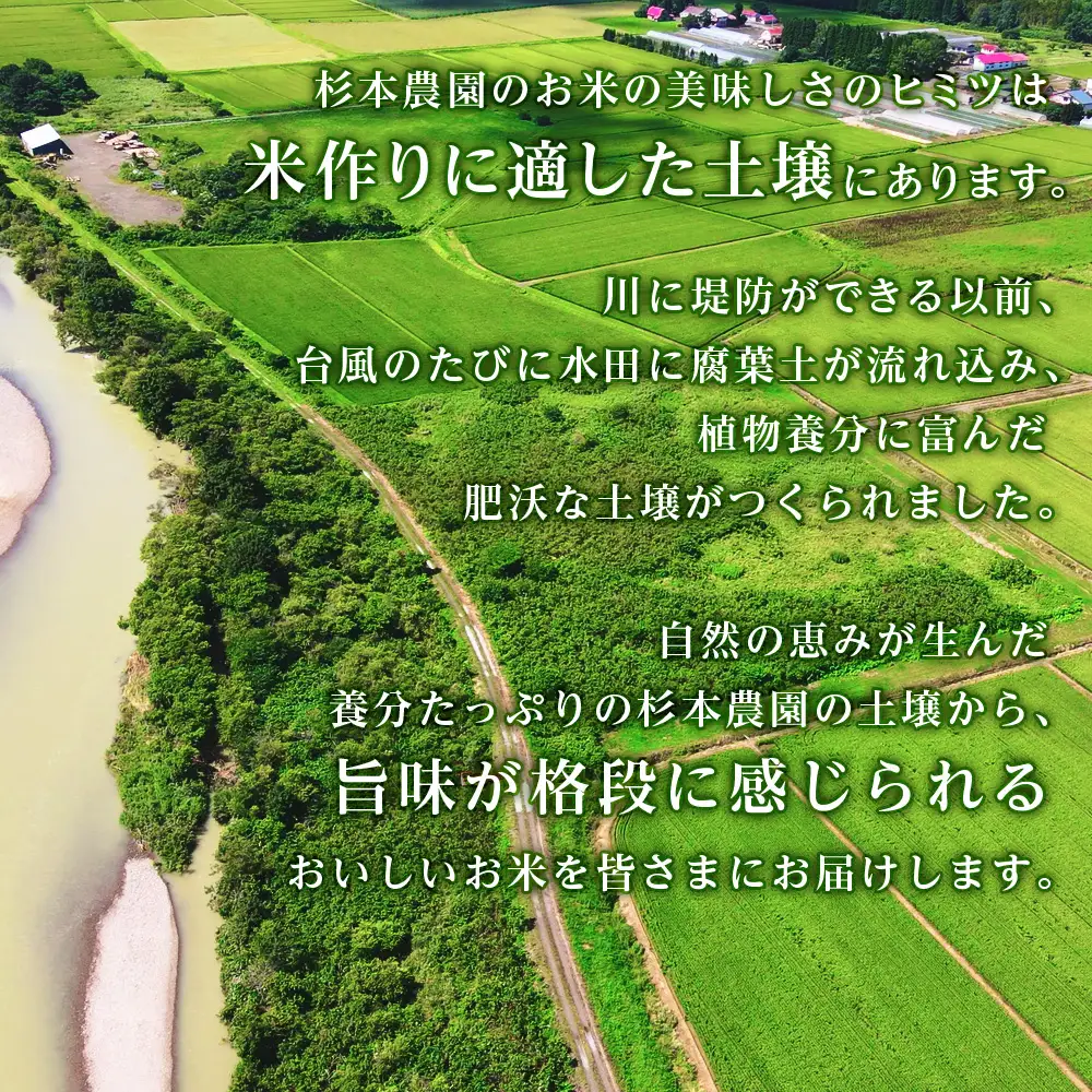 【令和7年産】【定期便 10カ月】ゆめぴりか 10kg《杉本農園》