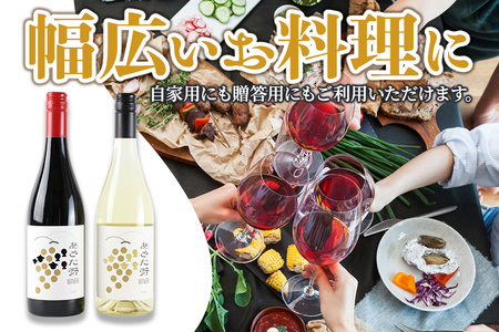 あきた野ワイナリー 日本ワイン 赤白2本セット (各750ml) 国産 秋田 贈答用 赤ワイン 白ワイン ギフト お祝い 家庭用