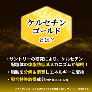 お茶 伊右衛門 特茶 500ml 24本 サントリー お茶