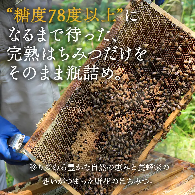 はちみつ 百花 クロガネモチ 各300g 計2本 天然 非加熱 純粋 生 はちみつ 蜂蜜 食べ比べ