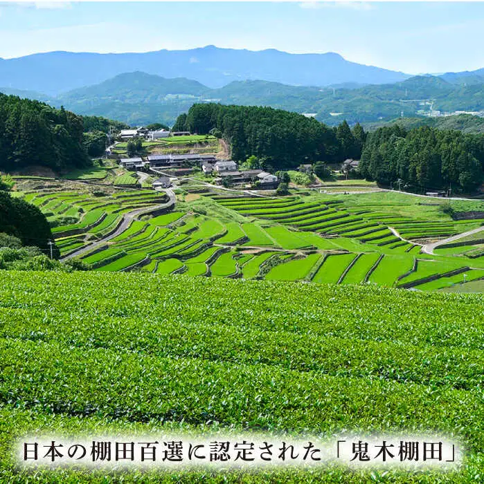 【全3回定期便】日本茶アワード受賞 玉緑茶 「心茶 鬼木みどり」 3本セット【原田製茶】 [GA21] 