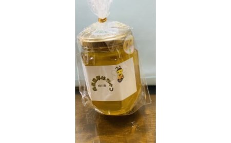 お米 農家 が育てた 白川米 10kg(5kg×2袋)・ 天然 百花 ハチミツ セット お米 はちみつ セット