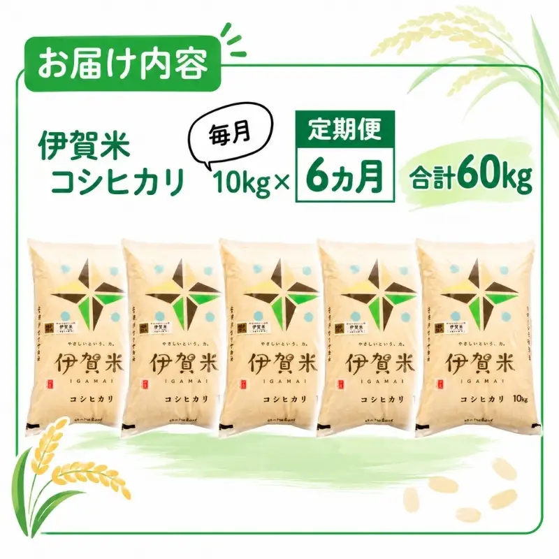米 定期便 令和7年産 伊賀米コシヒカリ 10kg（6ヶ月連続） コシヒカリ【jaig-tkb0002】