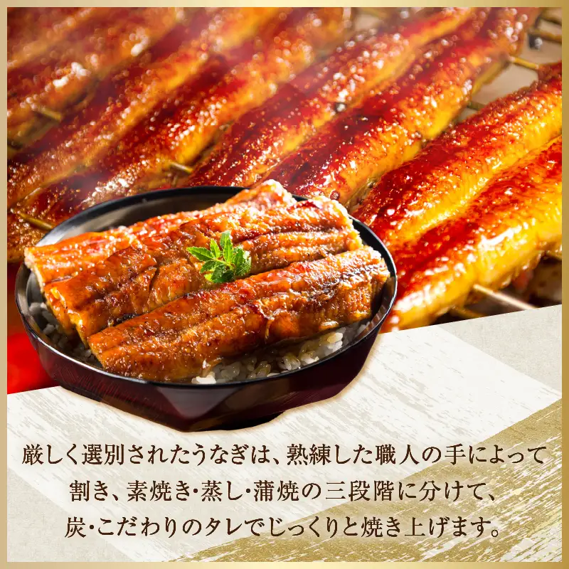 ≪数量限定≫うなぎ×宮崎牛 都農町最強セットA 肉 牛 牛肉 焼肉 国産_T030-1296