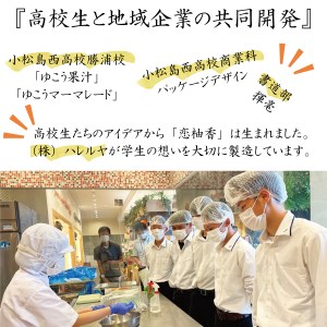 恋柚香（こいゆこう）パウンドケーキ 2本