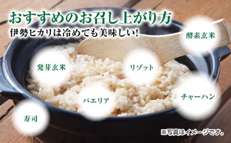 栽培期間中農薬不使用 令和7年産 伊勢ヒカリ 玄米 5kg /鶴ノ原北川農園 [UDL003] 玄米