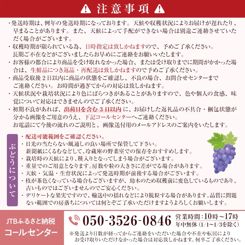 ★ 紅玉屋 長野市産大粒シャインマスカット1房（約450g～800g）【2026年9月上旬頃より順次発送】  |シャインマスカット ぶどう フルーツ