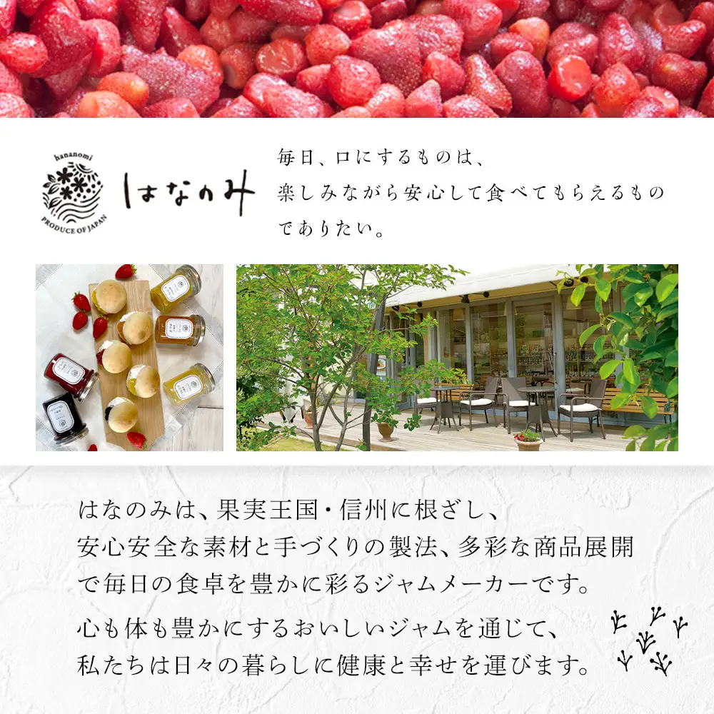 長野のフルーツジャムと自社養蜂蜂蜜詰合せ（小瓶）AMN-40 果実ジャム ブルーベリージャム いちごジャム りんごジャム パンに塗る アカシア 蜂蜜 |  ジャム フルーツ はちみつ 食べ比べ ギフト   人気 おすすめ 送料無料 長野県 長野市 信州 信濃 ふるさと納税