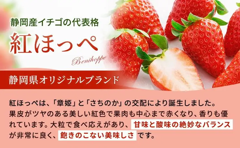 【2027年2月上旬より順次発送】いちご 紅ほっぺ  8パック  果物 イチゴ 苺 国産 ギフト 贈答品 お祝い プレゼント フルーツ くだもの◆