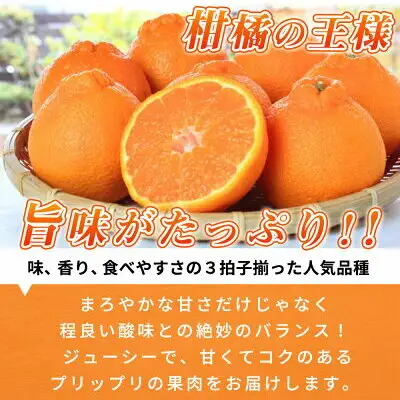【2027年先行予約】期間限定 紀州デコ 約 5kg 完熟 紀州 有田産 色 形 味 香り 一級品 プリプリ 果肉 まろやか 甘さ ほどよい 酸味 ジューシー 旨味 不知火 人気品種 柑橘の王様 柑橘 果実 国産 食品 産地直送 お取り寄せ 和歌山県 湯浅町 送料無料_G7361