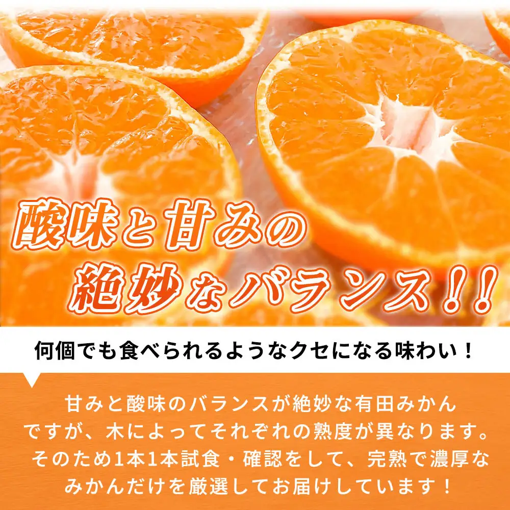【2026年11月下旬頃より発送】完熟 有田みかん 10kg_G7047