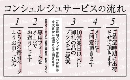 【飛騨市のコンシェルジュ】寄附金相応の品物をこちらで提案します[HT105]