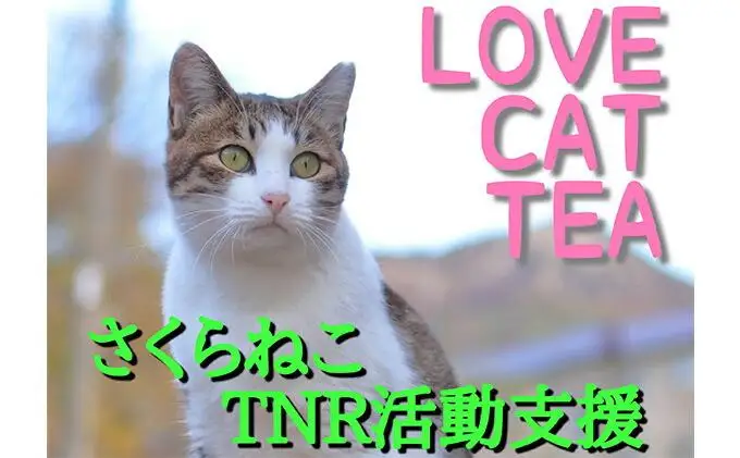 【さくらねこTNR活動支援】静岡市産本山茶（ほんやまちゃ）100g×3本 合計300g★★