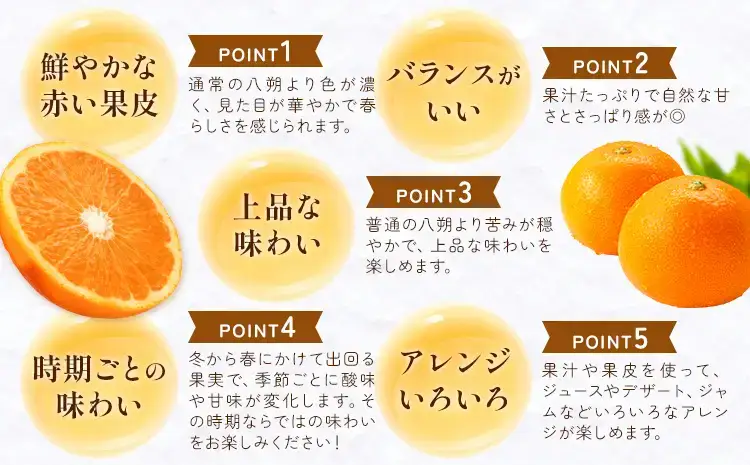 紅はっさく 約7kg 八朔  紅八朔