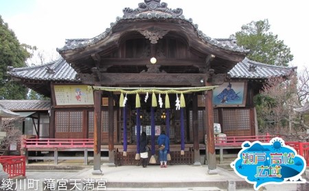 「瀬戸・たかまつネットワーク」レンタカーで巡る香川県（綾川・高松・直島方面）2日間 チケット 