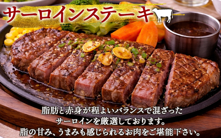 【旨みあふれる良質な赤身！】北海道産 鹿部牛 サーロインステーキ 600g 牛肉 ステーキ 赤身肉 国産牛肉 サーロイン 道産牛肉 サーロイン