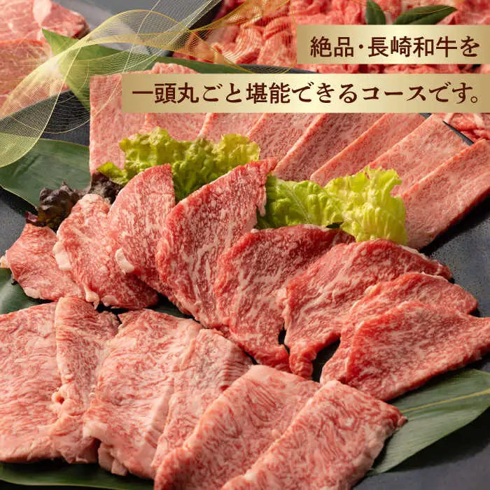 【全12回定期便】長崎和牛丸ごと一頭 堪能！ 総計6.2kg以上 サーロイン モモ イチボ シャトーブリアン 焼肉 ステーキ 長崎和牛 希少部位 【夢ファームシュシュ】 [WF15]