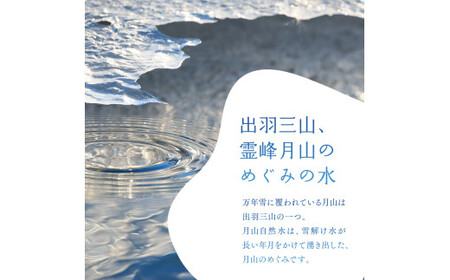 FYN9-730 【定期便】月山自然水500ml×24本×6ヶ月コース 天然水 国産 備蓄 防災 保存 ペットボトル ナチュラル 山形県 西川町