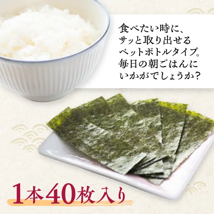 【塩のり】佐賀海苔ボトル（10切40枚）2本セット　海苔 塩海苔 のり[FBC033]