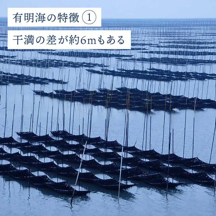 【全3回定期便】佐賀県産 塩海苔ボトル2本（10切40枚）セット[FBC038]
