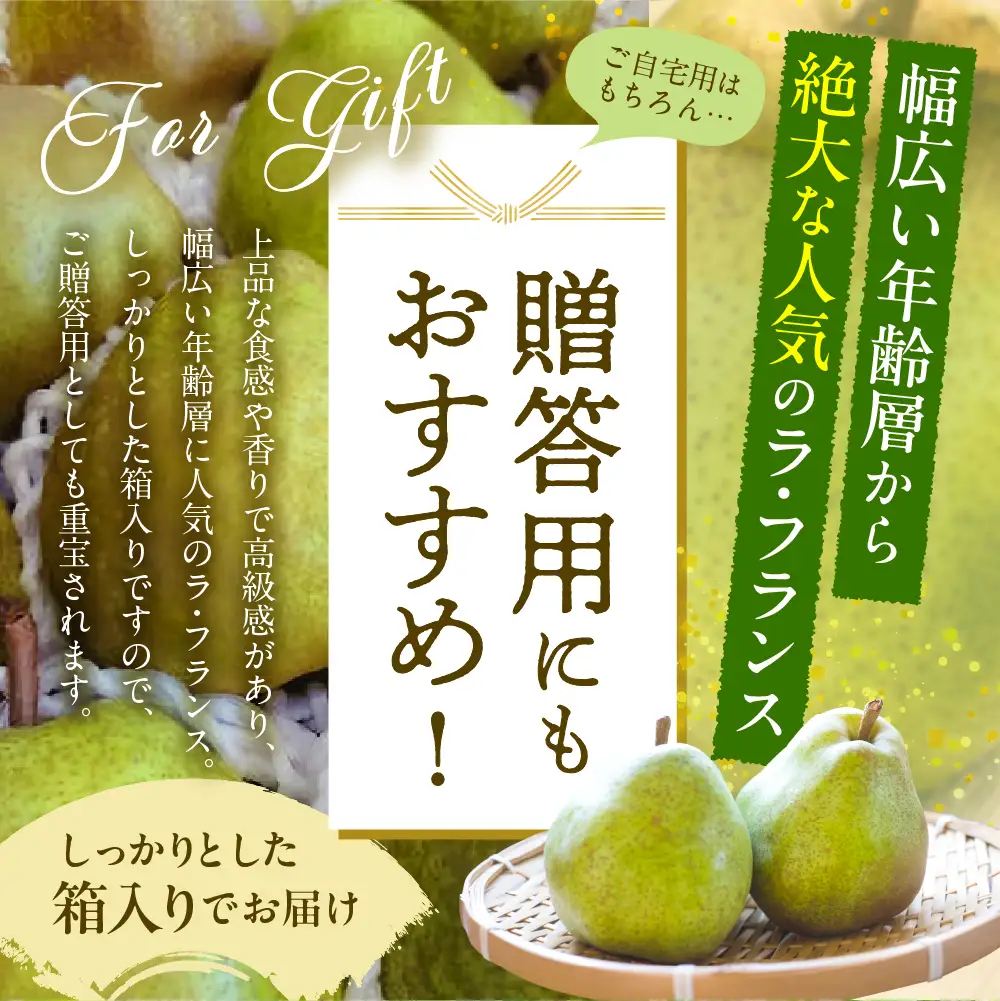 2026年産 ラ・フランス 約5kg ラフランス