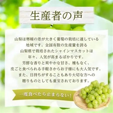 2026年発送 山梨県産 シャインマスカット 約1kg(2～3房) 山梨が誇る人気果物 熟練農家厳選【配送不可地域：離島・沖縄県】【1272524】