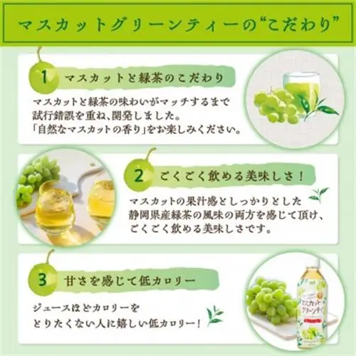 マスカットグリーンティー 500ml 24本 計12L サーフビバレッジ【1292304】