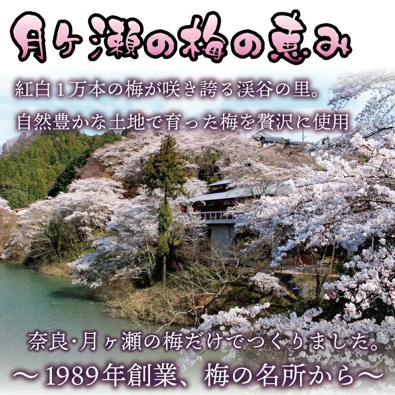 【梅エキス】65g 月ヶ瀬梅渓名産 梅 I-247
