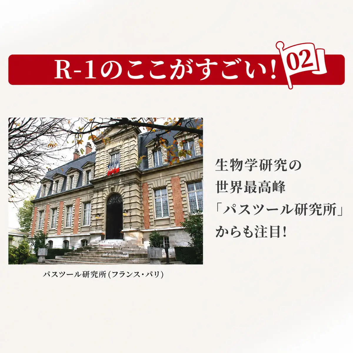 R1 飲むヨーグルト R-1 低糖 3ヶ月 R1
