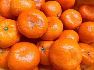 【2027年先行予約】初夏のみかん なつみ 7.5kg【家庭用 訳あり】【ミカン 蜜柑 柑橘 和歌山 有田 南津海】_G7073