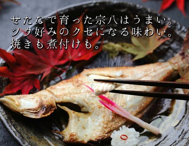【リピーター続出！】北海道産 宗八かれい 大サイズ10枚(約2kg) カレイ 一夜干し 漁師直送 干物 煮付け 塩焼き 唐揚げ 海鮮 せたな町 ふるさと納税