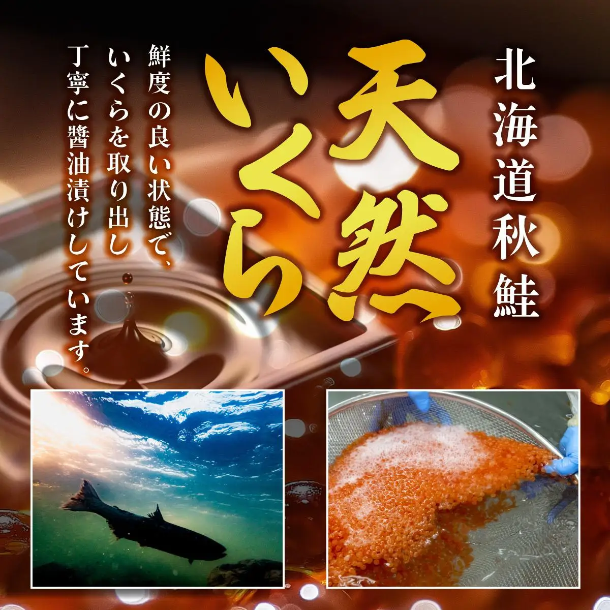 北海道産いくら醤油漬200g F21H-454