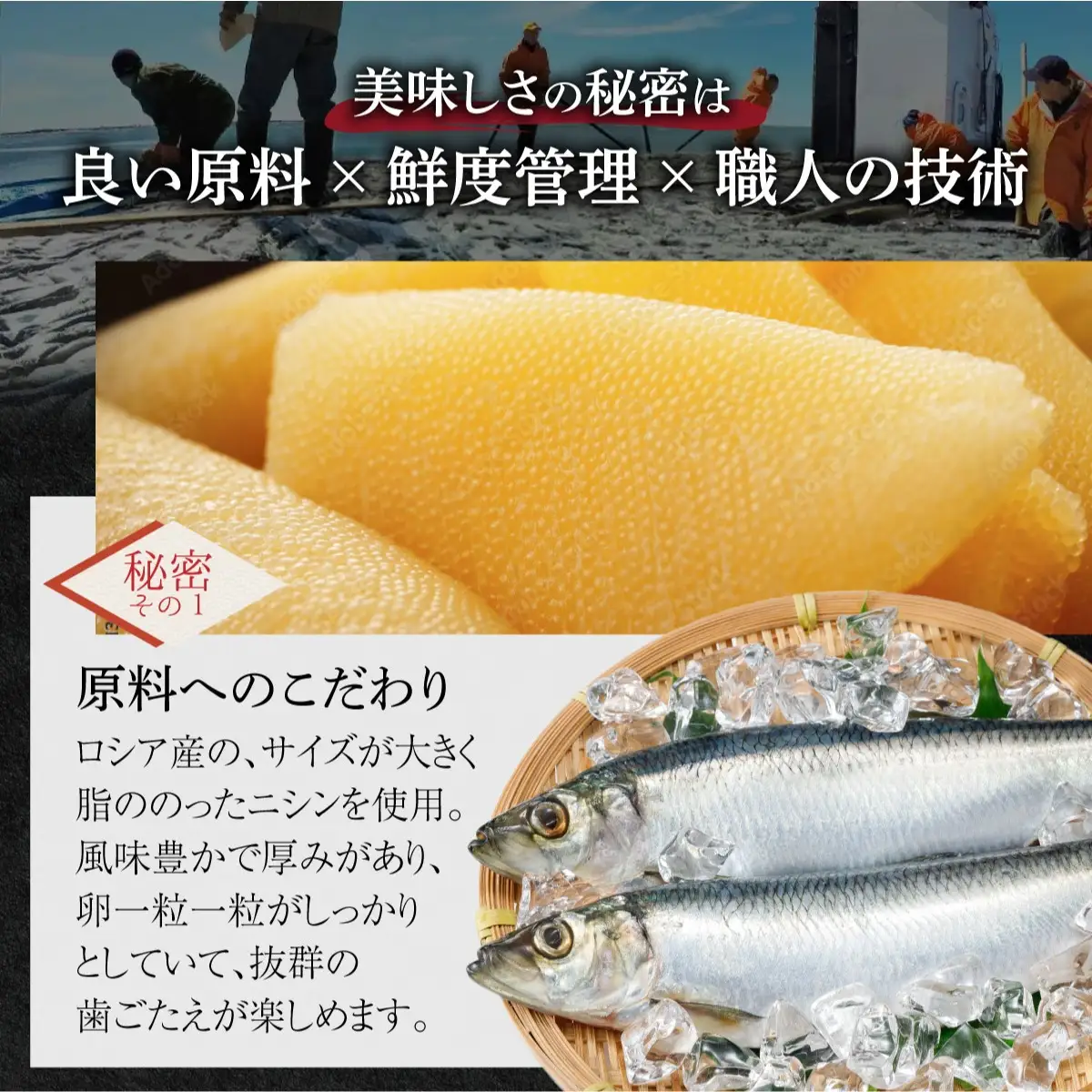 塩数の子 一本羽 300g×3 F21H-507【順次発送】