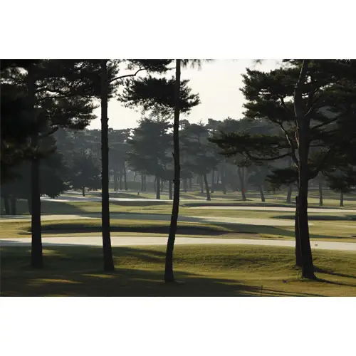 【会員限定】大利根カントリークラブ利用券＊9000円（利用券3000円×3枚） ／ ゴルフ golf GOLF ごるふ ゴルフ場 チケット ちけっと 体験 プレー券 利用券 ゴルフ場利用券 記憶に残るラウンド 最高のコースコンディション 最良のサービス 茨城県 No.151