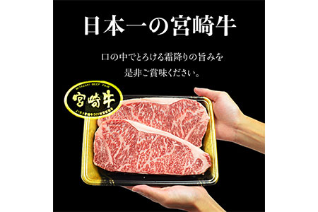 ＜宮崎牛 サーロインステーキ用460gとリブロースすき焼きしゃぶしゃぶ用300g＞翌月末迄に順次出荷【c236_sy_x1】