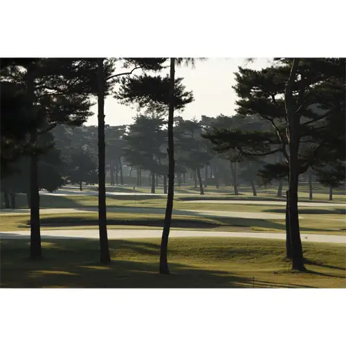 【会員限定】大利根カントリークラブ利用券＊90000円（利用券3000円×30枚） ／ ゴルフ golf GOLF ごるふ ゴルフ場 チケット ちけっと 体験 プレー券 利用券 ゴルフ場利用券 記憶に残るラウンド 最高のコースコンディション 最良のサービス 茨城県 No.171
