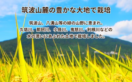 令和7年産 茨城県産 コシヒカリ 精米 合計10kg (5kg×2袋) 