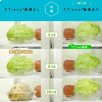 プラチナ触媒を利用した野菜・果物の鮮度維持グッズ『FT-eco Ball（エフテコボール）』1個｜茨城県土浦発！FT-ecoR触媒（エフテコ触媒）を活用した、野菜・果物の鮮度を守るアイテム。野菜・果物の鮮度維持、防臭効果が期待。取換期間も1年間と長持ち※離島への配送不可
