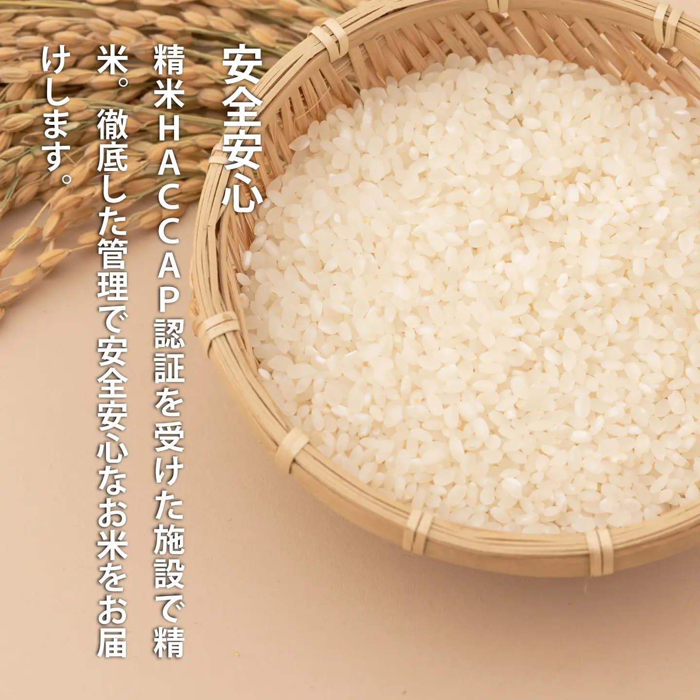 【生活応援！価格大幅改定！即日～14営業日以内発送】北海道 産地直送！ＪＡ当麻ブランド米　籾貯蔵今摺米きたくりん無洗米　定期便　令和7年産　11kg×12回コース【A-009】