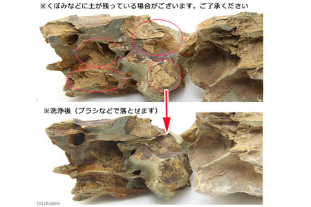 陽火石 サイズミックス（約5～30cm）10kg