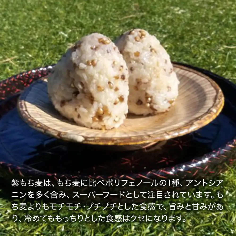 山々と源流の山国町「nakano麦園」の希少な『紫もち麦』ダイシモチ300g×3袋 | 900g 900グラム 紫もち麦 もち麦 麦 ダイシモチ 紫麦 雑穀 穀物 希少 国産 麦ご飯 大分県 中津市